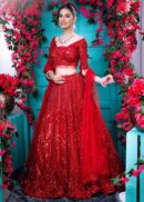 Red Bridal Lehenga