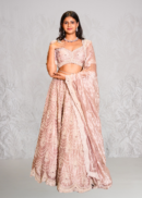 Pastel pink tissue Lehenga set